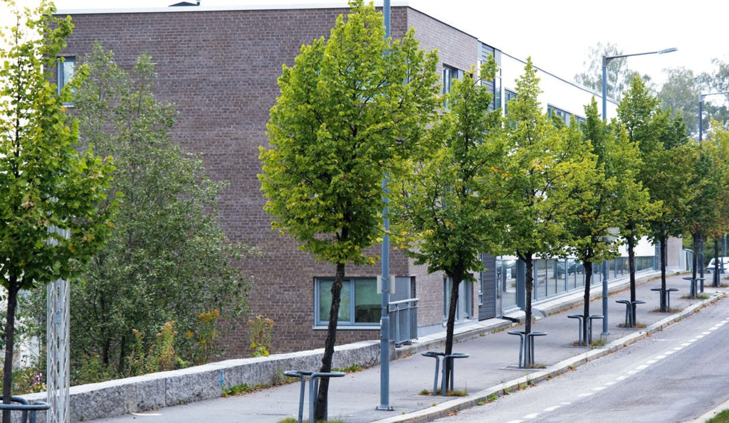 Sagbruksveien 59